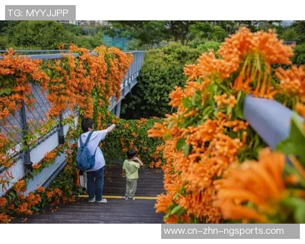 深圳新鹏城十月赛事安排一览表助您畅享精彩活动